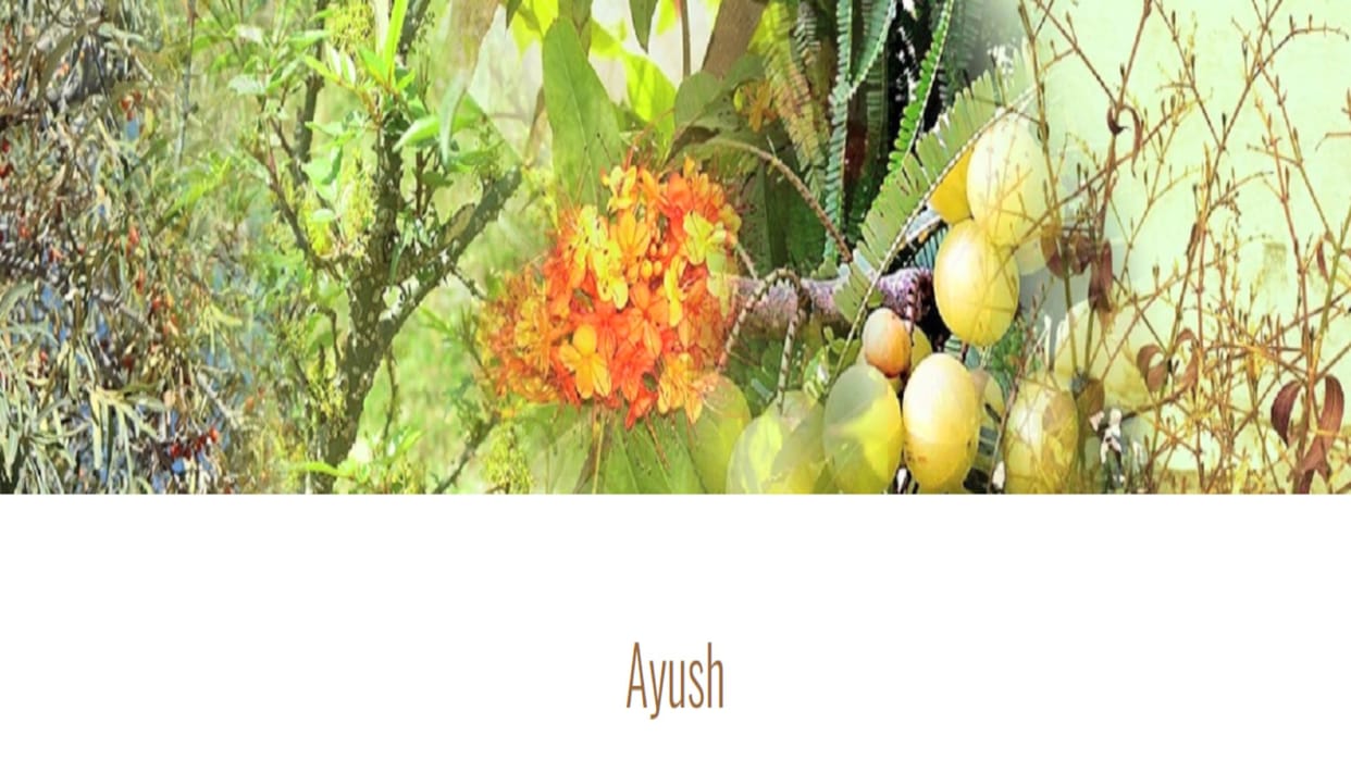 AYUSH Department Recruitment: Batchwise will be filled for the posts of Ayurvedic Medical Officer and Pharmacist