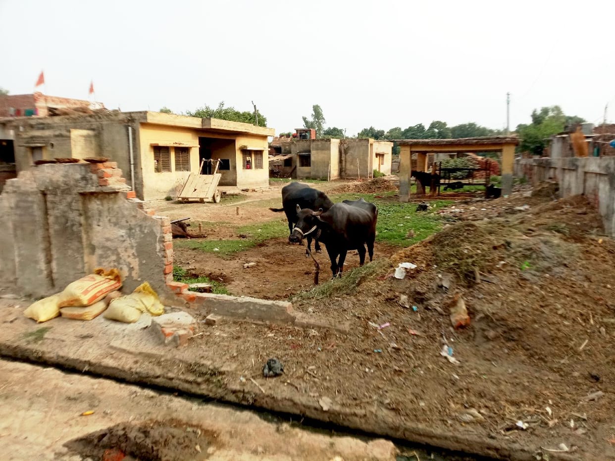 Veterinary hospital capture