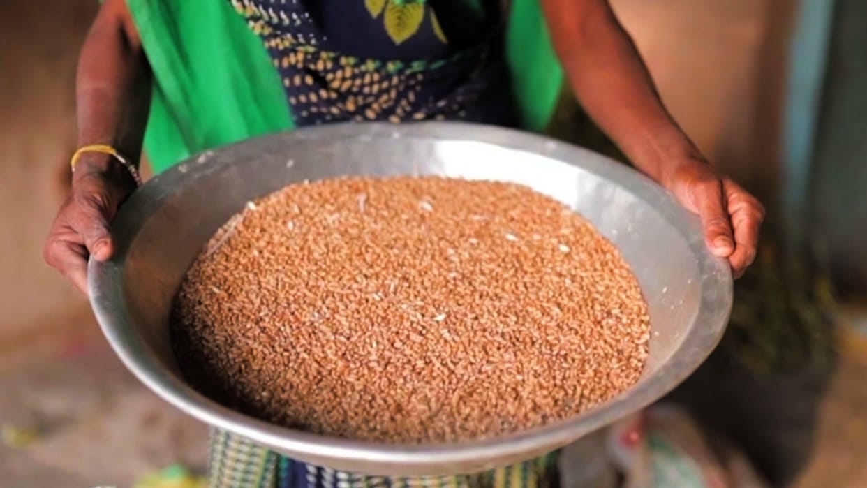 Wheat Price: will be cheaper, govt can cut import duty, year ago it was Rs 25 kg