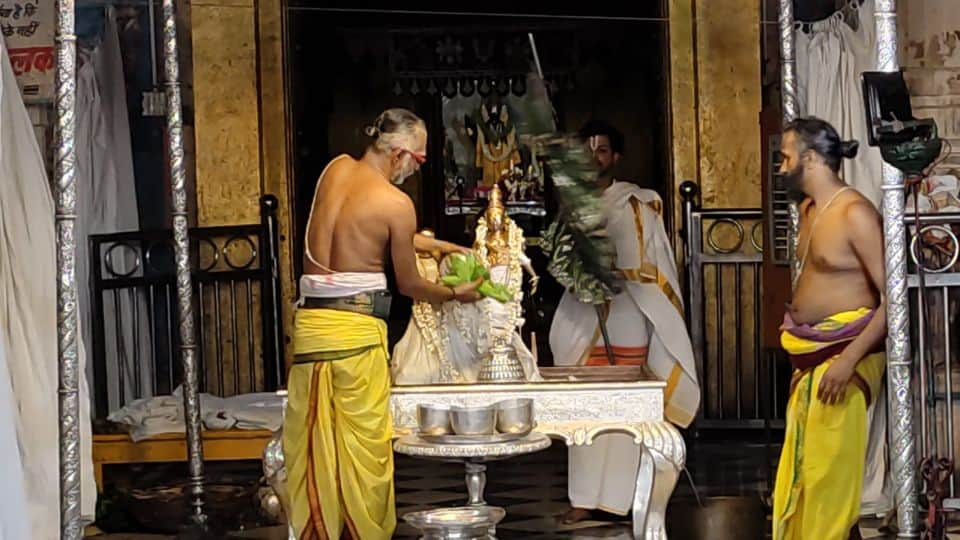 jyeshthabhishek celebration in Rangnath Temple Vrindavan