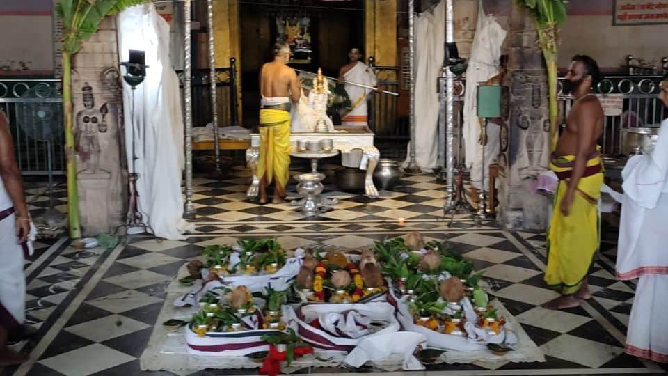 jyeshthabhishek celebration in Rangnath Temple Vrindavan