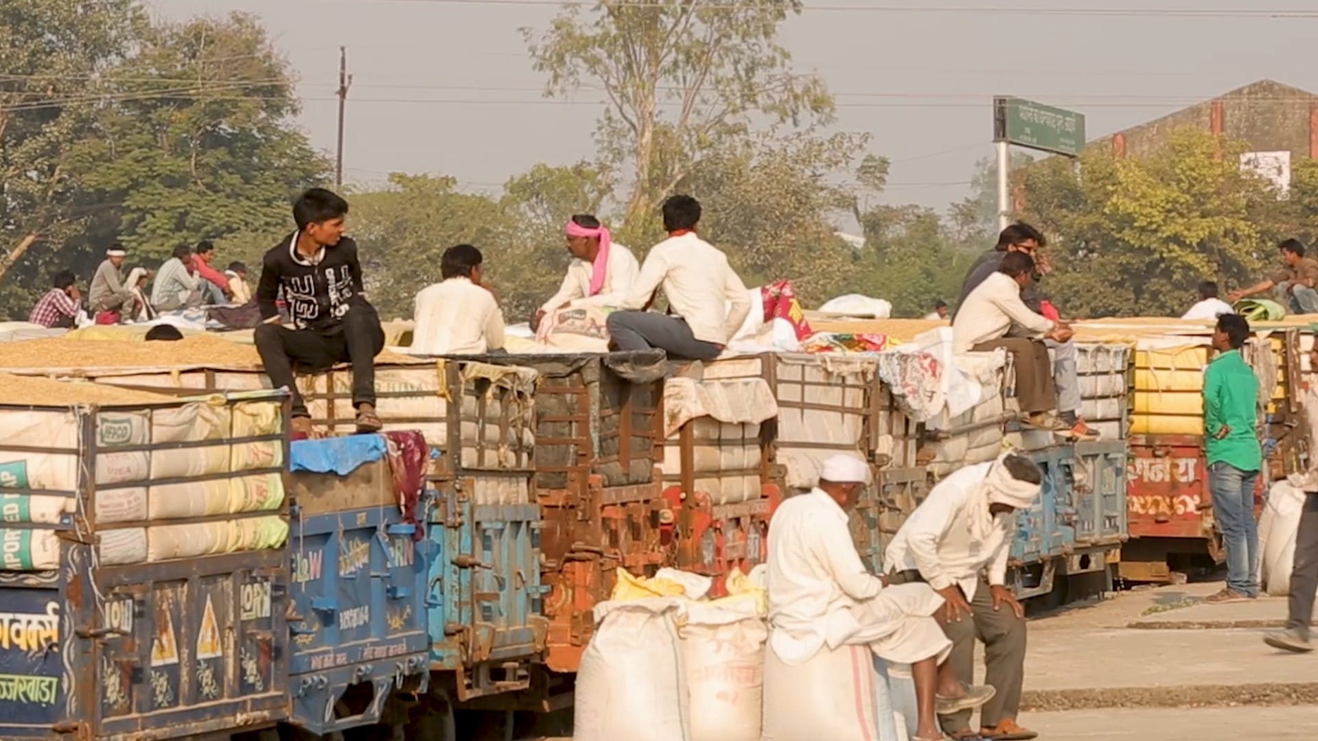 MP News: Demand of MP's wheat and rice increased abroad, the efforts of Shivraj government changed the days of farmers