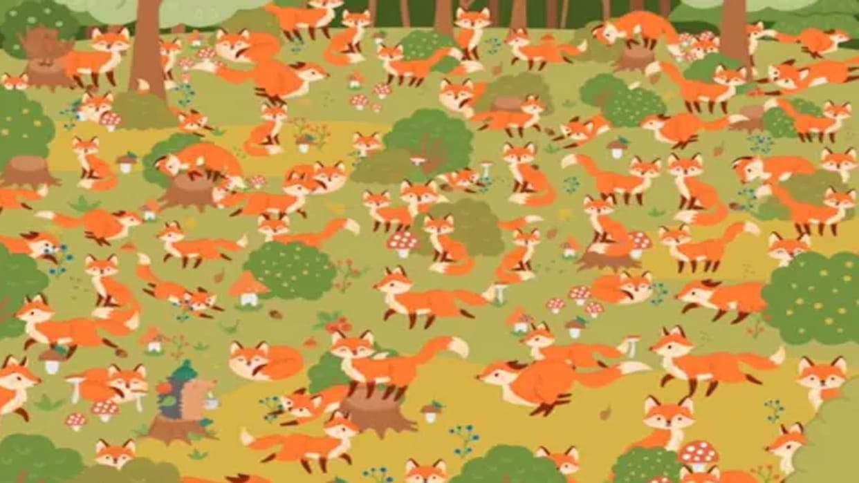 optical illusion did you see the blue eyes fox in this picture brainstorming photo brain teasers news in hindi