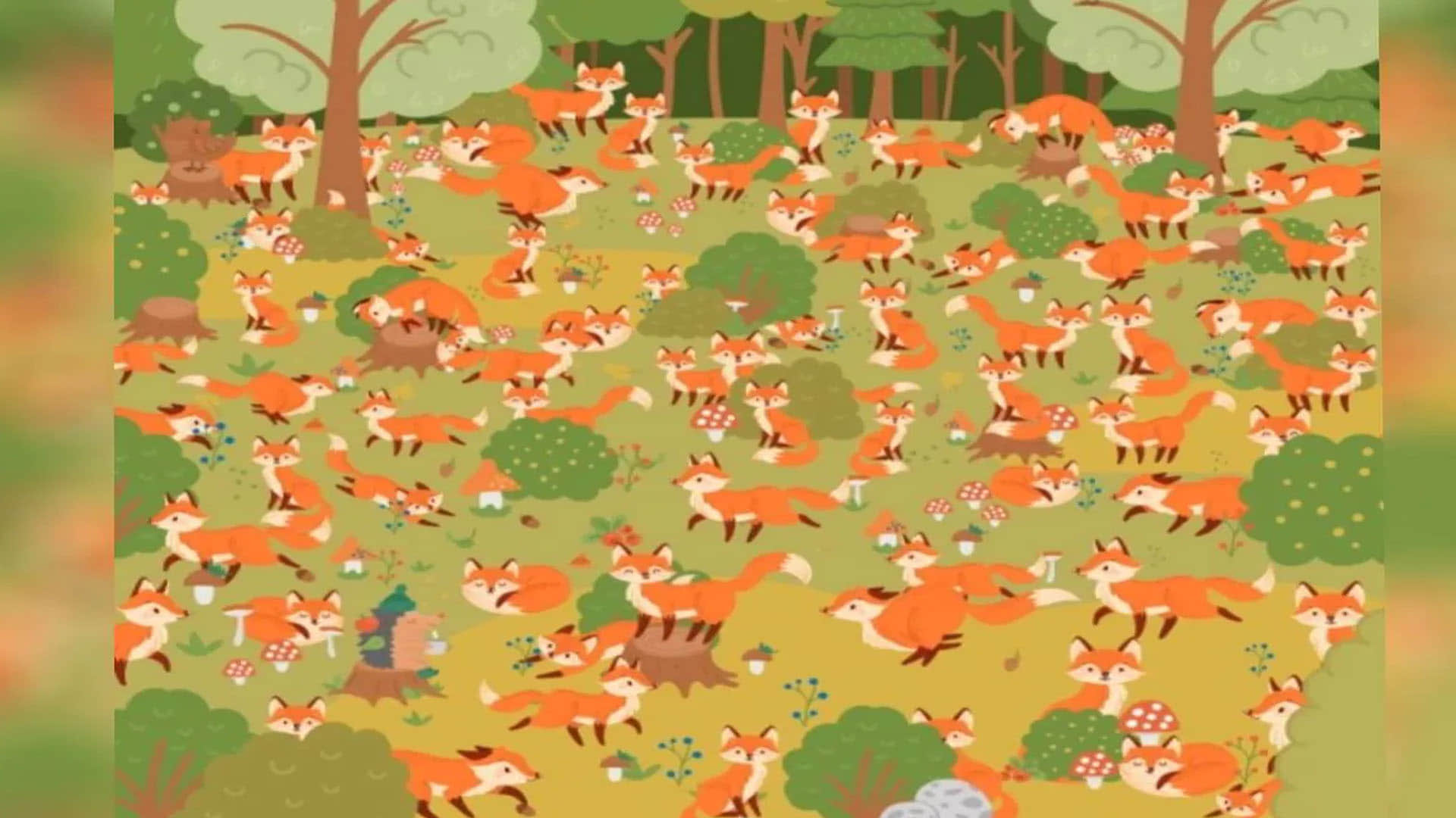 optical illusion did you see the blue eyes fox in this picture brainstorming photo brain teasers news in hindi