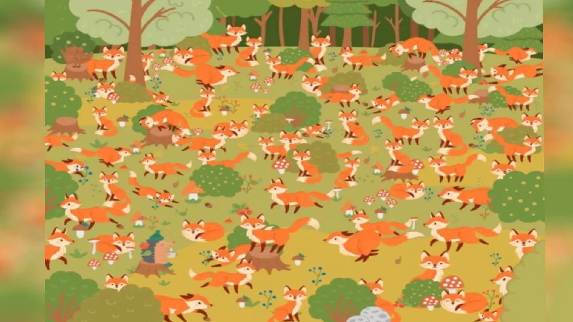 optical illusion did you see the blue eyes fox in this picture brainstorming photo brain teasers news in hindi