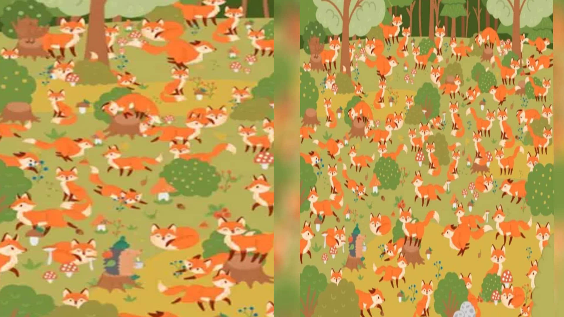 optical illusion did you see the blue eyes fox in this picture brainstorming photo brain teasers news in hindi