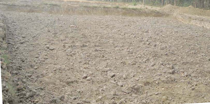 Monsoon slows down, farmers' problems increase