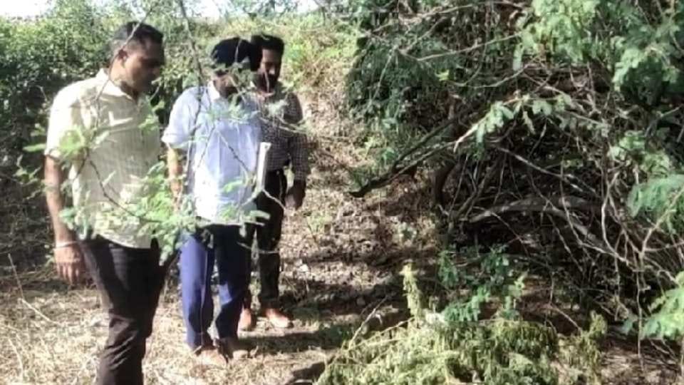Friends killed a young man in Rajpura of Punjab