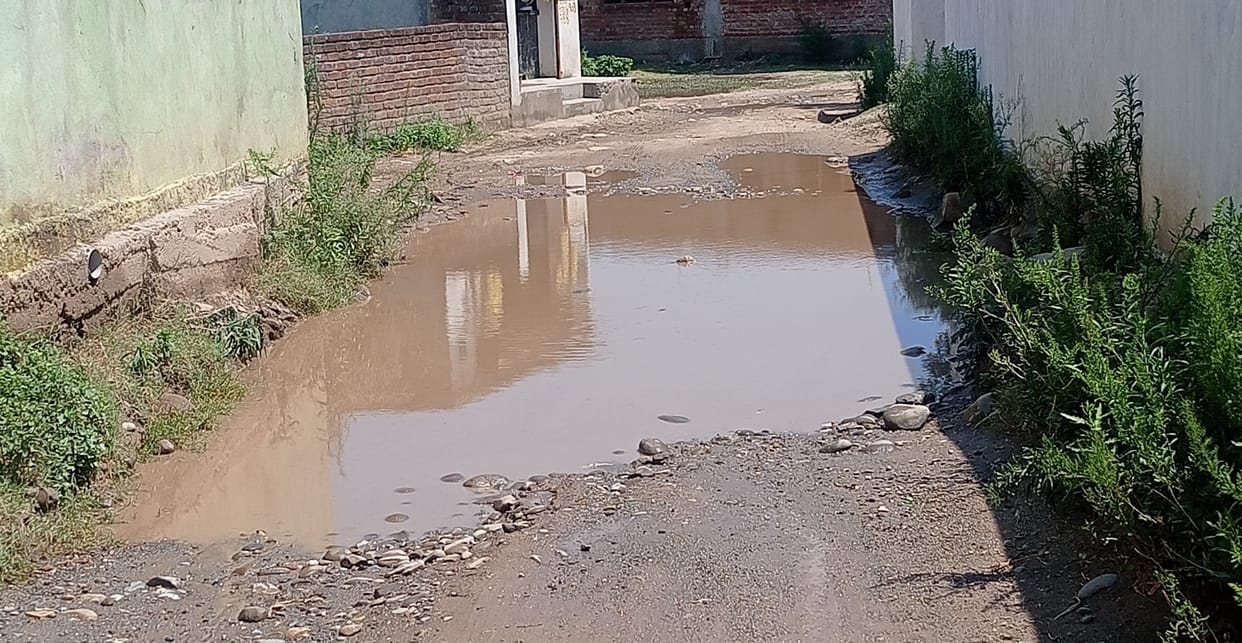 development