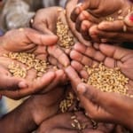 प्रधानमंत्री गरीब कल्याण अन्न योजना