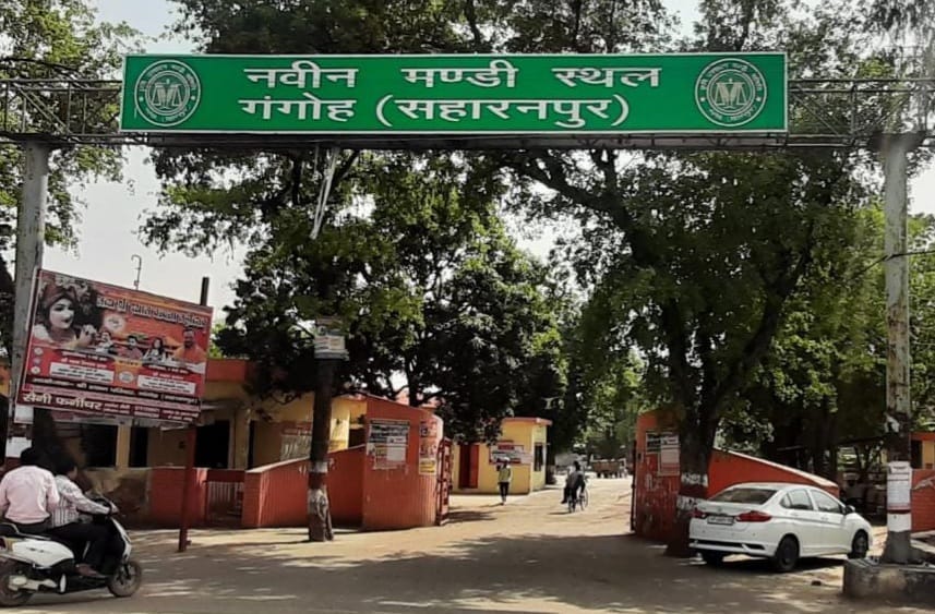 Gangoh is not only the capital of politics, but also in revenue