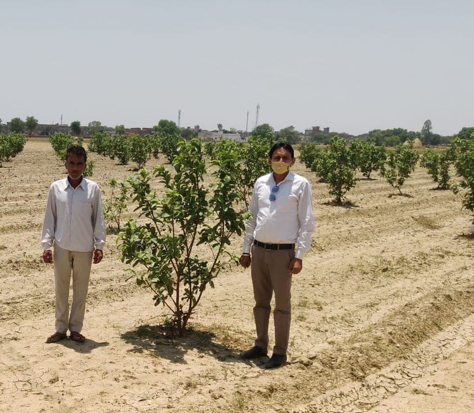 Due to the depleting water level, the Horticulture Department is giving grants to the farmers on horticulture crops