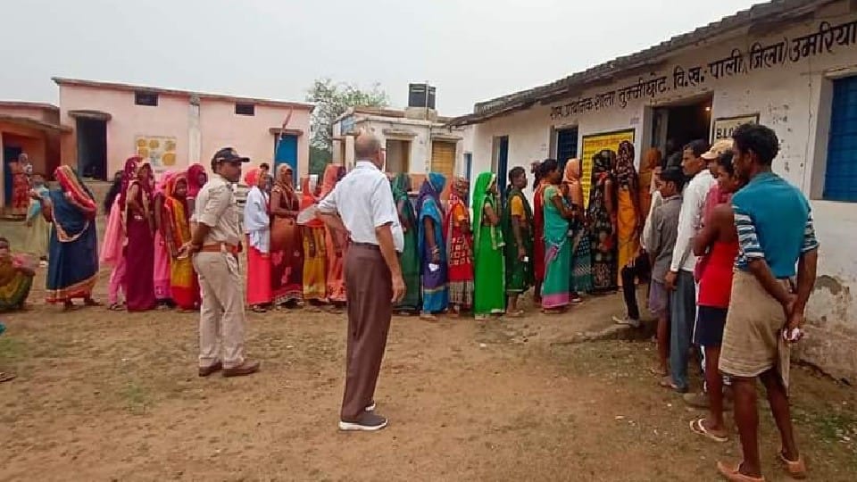 MP Panchayat chunav: There was enthusiasm among voters, queues had started since morning, crowds were seen even after the end of time