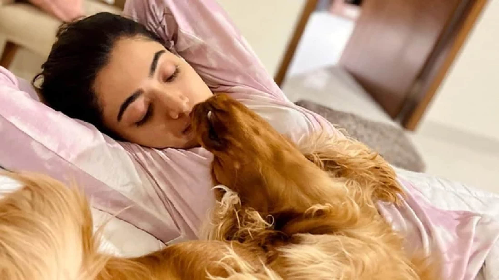 Rashmika Mandanna react to the reports of wanting a ticket for her pet dog from producer, give hilarious comment