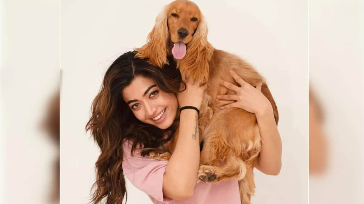 Rashmika Mandanna react to the reports of wanting a ticket for her pet dog from producer, give hilarious comment