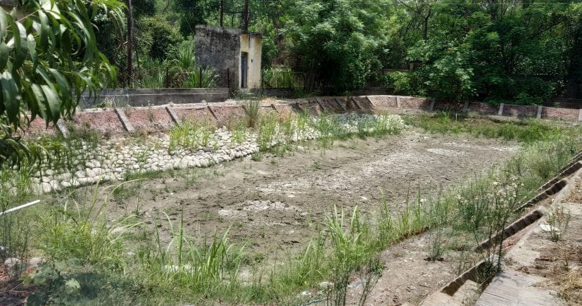 planing for new pond