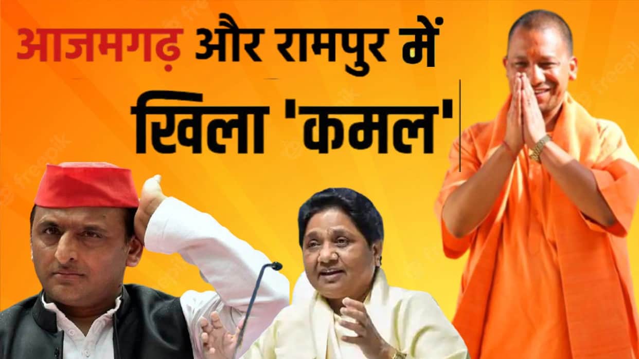 Rampur Azamgarh By Election Result 2022 How Bjp Won Know Five Reasons Behind SP Lost the Seats All Details in Hindi