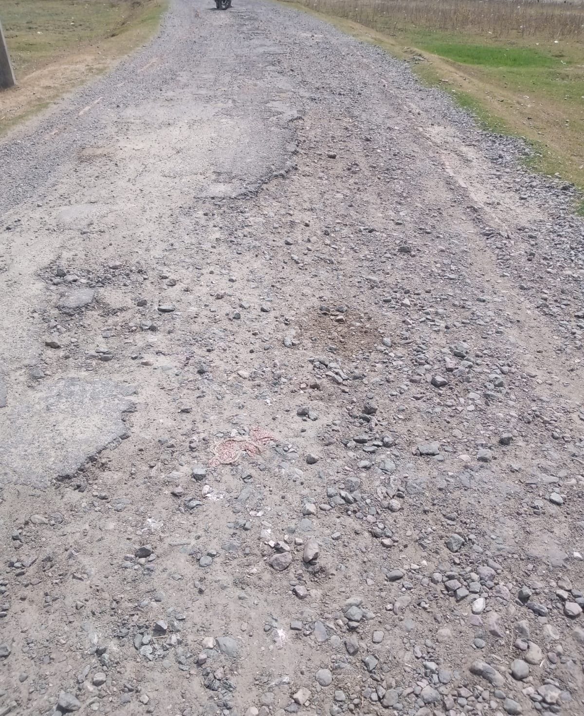 Hundreds of four-foot potholes on five km road