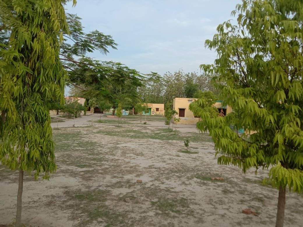 school