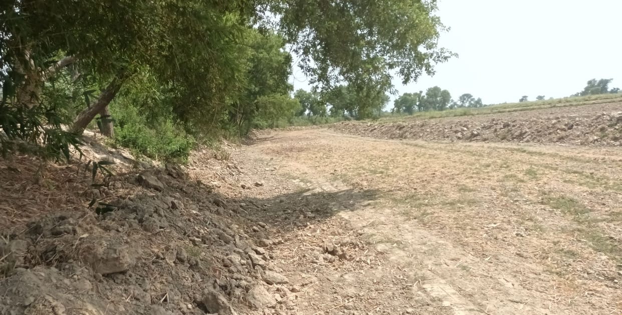 gadbadi,tender,farrukhabad news,sinchai vibhag