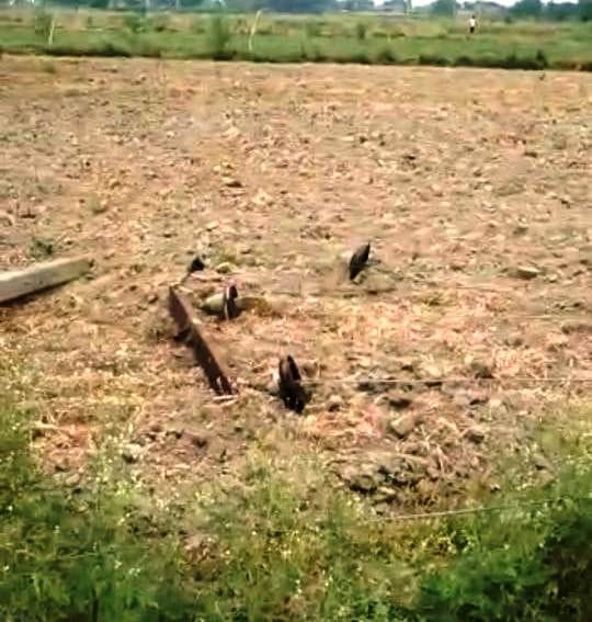 Supply of six villages stalled due to breaking of electricity pole