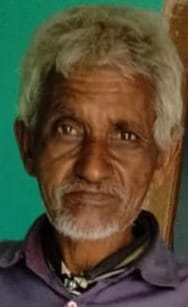 Monkeys attack sleeping elderly, fall to death