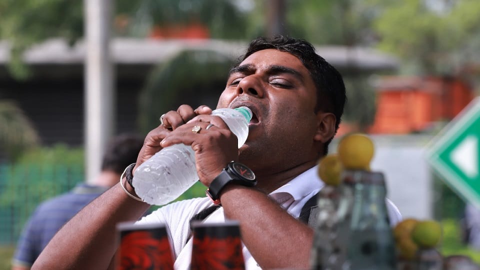 Heat broke the record of 32 years in February temperature increase further