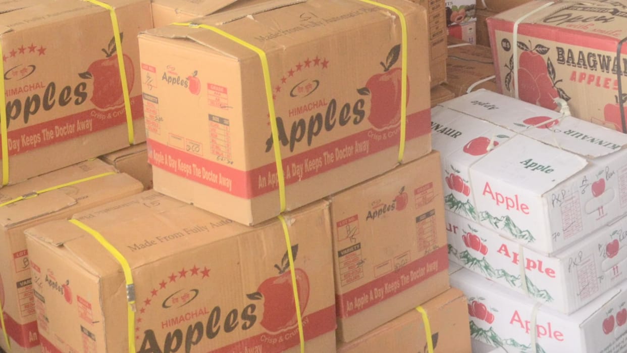 Price of apple packing tray increased again in himachal , price of one bundle reached Rs 745