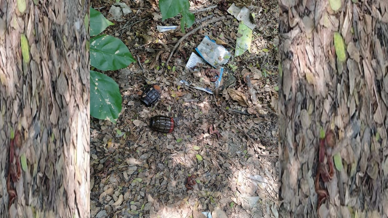 hand grenade found in cantt area of Ayodhya.