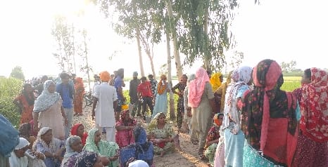 The tigress dragged the woman planting paddy from among the laborers
