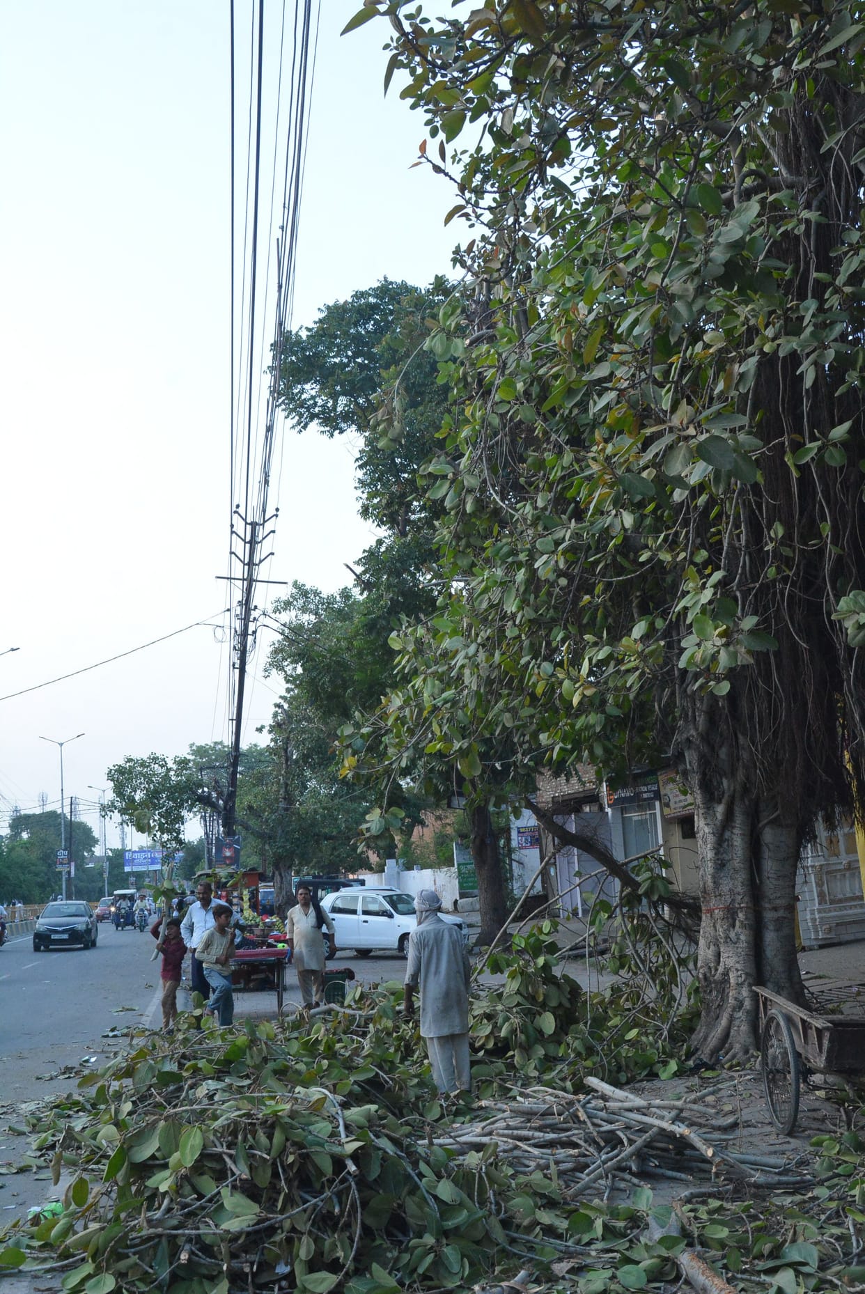 Amidst the sultry heat, the power cut made me cry