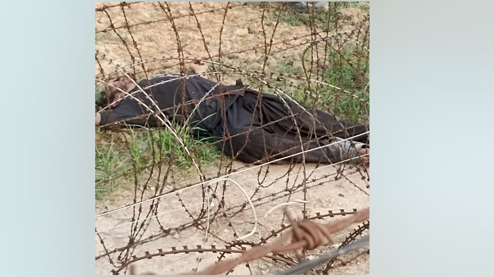 BSF killed Pakistani infiltrator india pakistan border in barakpur sector rspura jammu