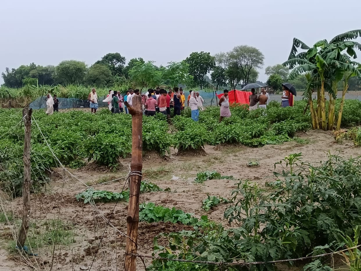 Youth and cow died due to lightning