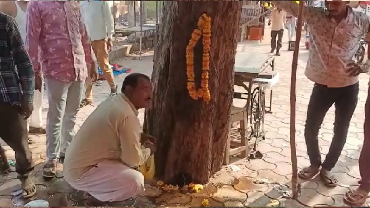 Shivpuri: People were shocked to see the water stream flowing from the tree, crowd gathered to worship with the chants of Ganga Maiya