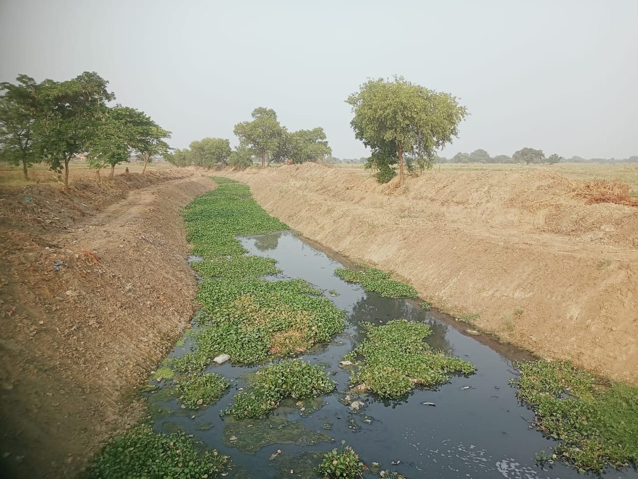 Jackhal drain will be rejuvenated with 200 crores