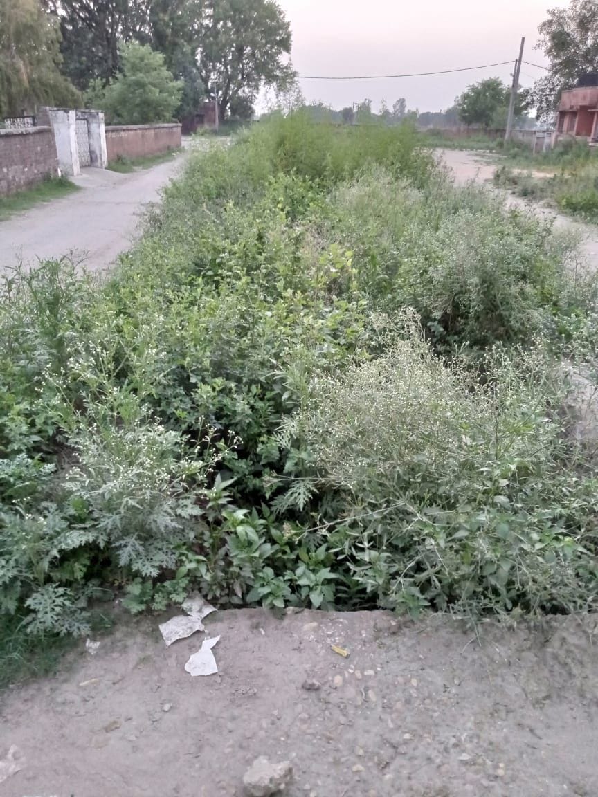 errigation