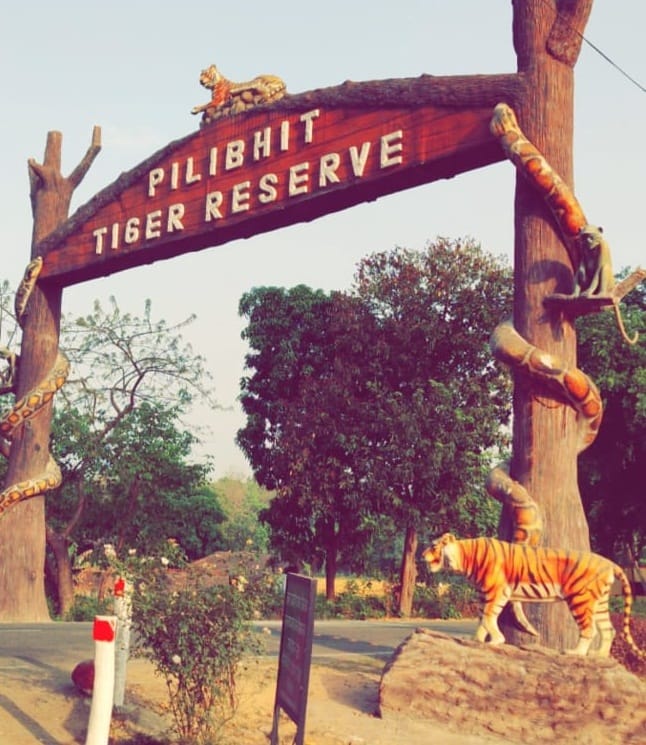 Rescue center will become the support of wildlife in case of illness