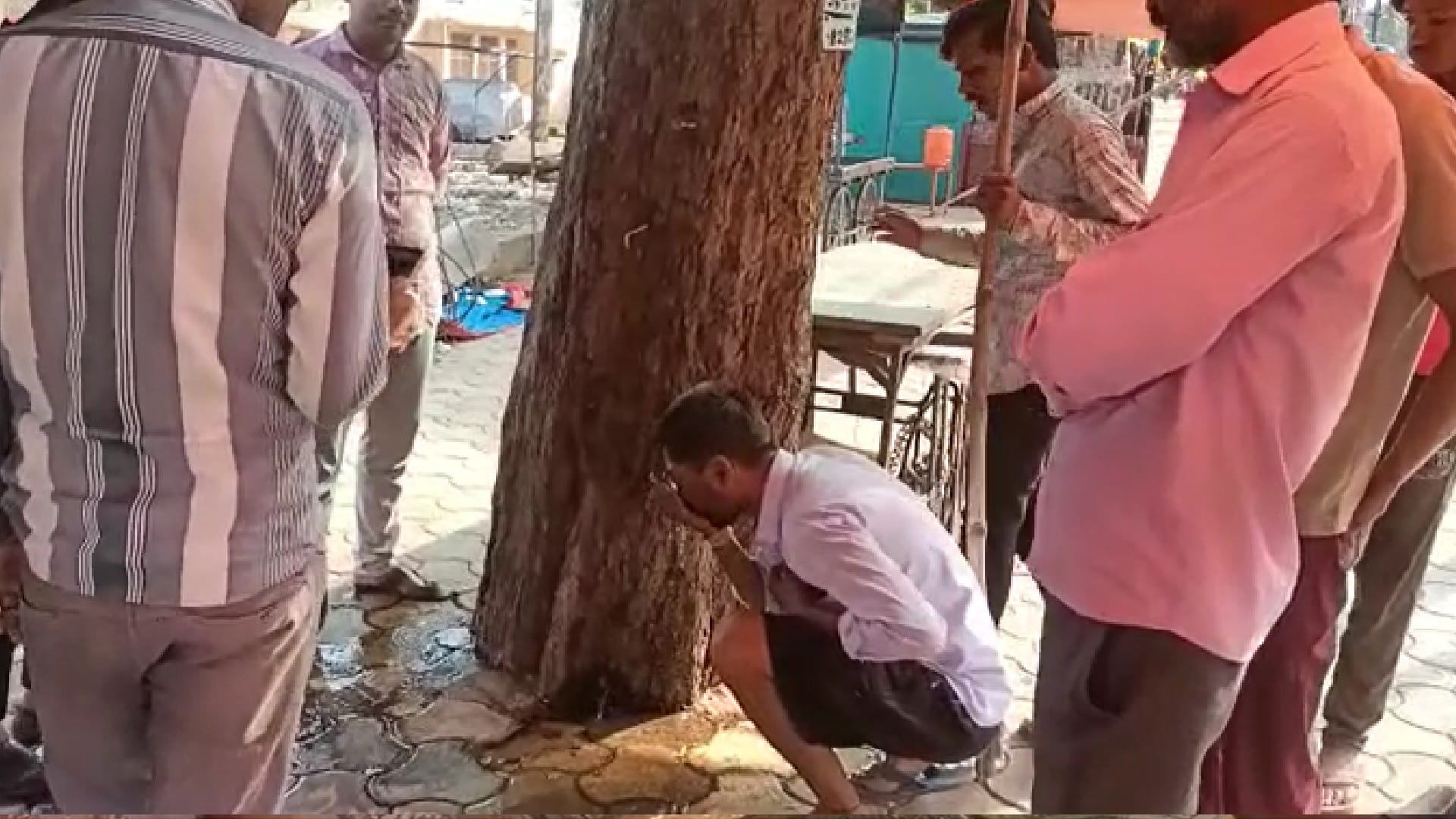 Shivpuri: People were shocked to see the water stream flowing from the tree, crowd gathered to worship with the chants of Ganga Maiya