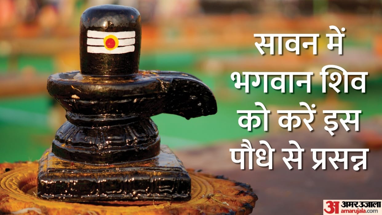 Sawan 2022 Puja Vidhi How To Offer Bel Patra On Shivling Know Its Benefits In Hindi