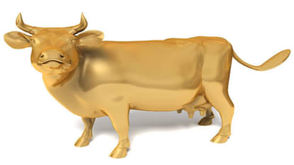 Vastu Tips Statue of Kamdhenu Cow in the House Gives Many Benefits Know in Details
