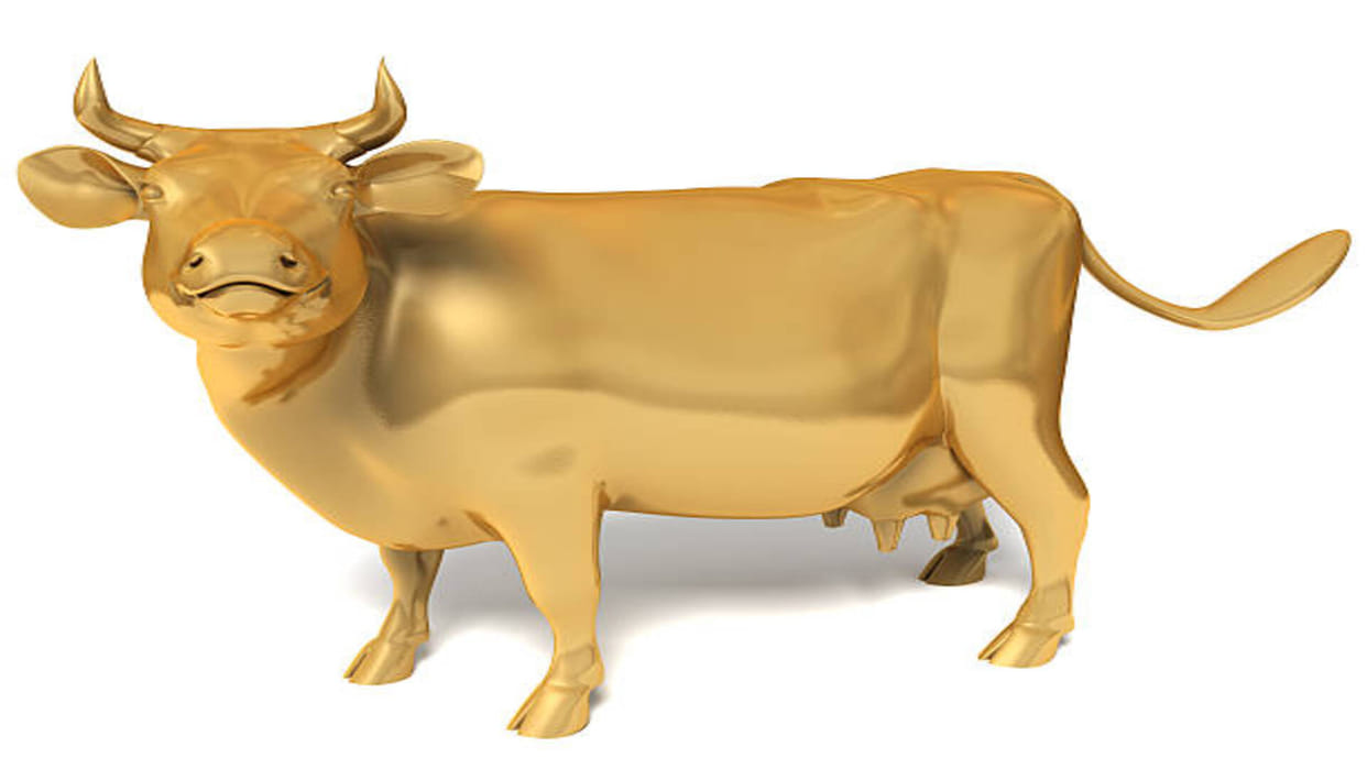 Vastu Tips Statue of Kamdhenu Cow in the House Gives Many Benefits Know in Details