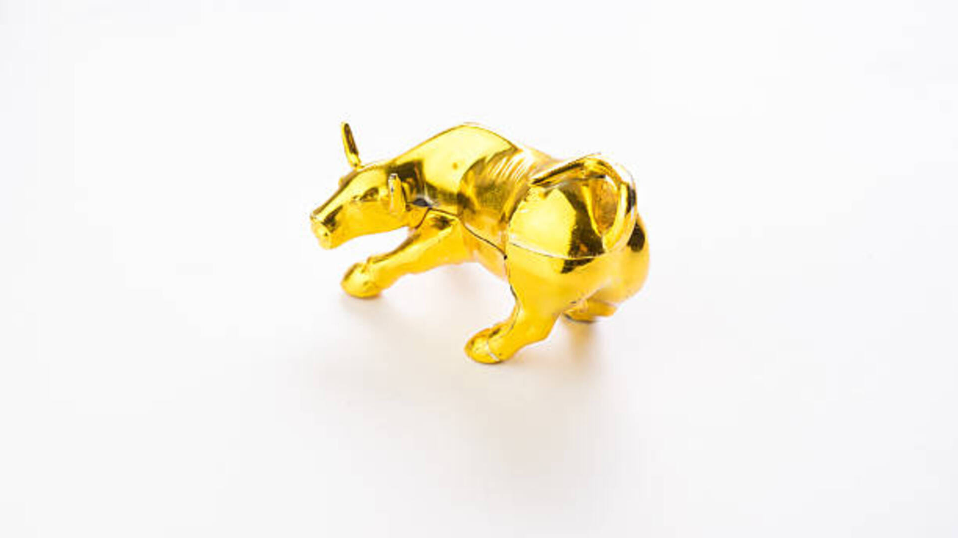 Vastu Tips Statue of Kamdhenu Cow in the House Gives Many Benefits Know in Details