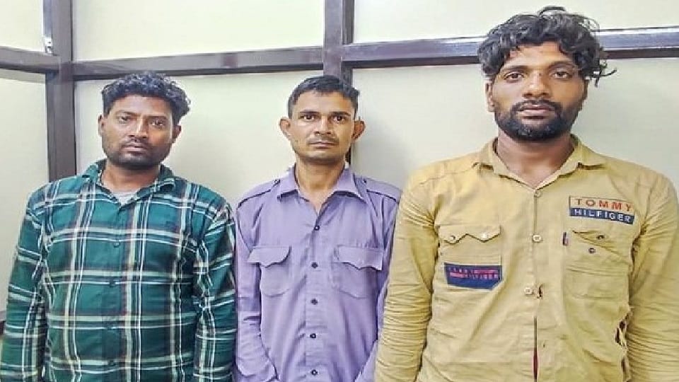 mobile phone of theft and robbery supply pakistan bangladesh and gulf country from india