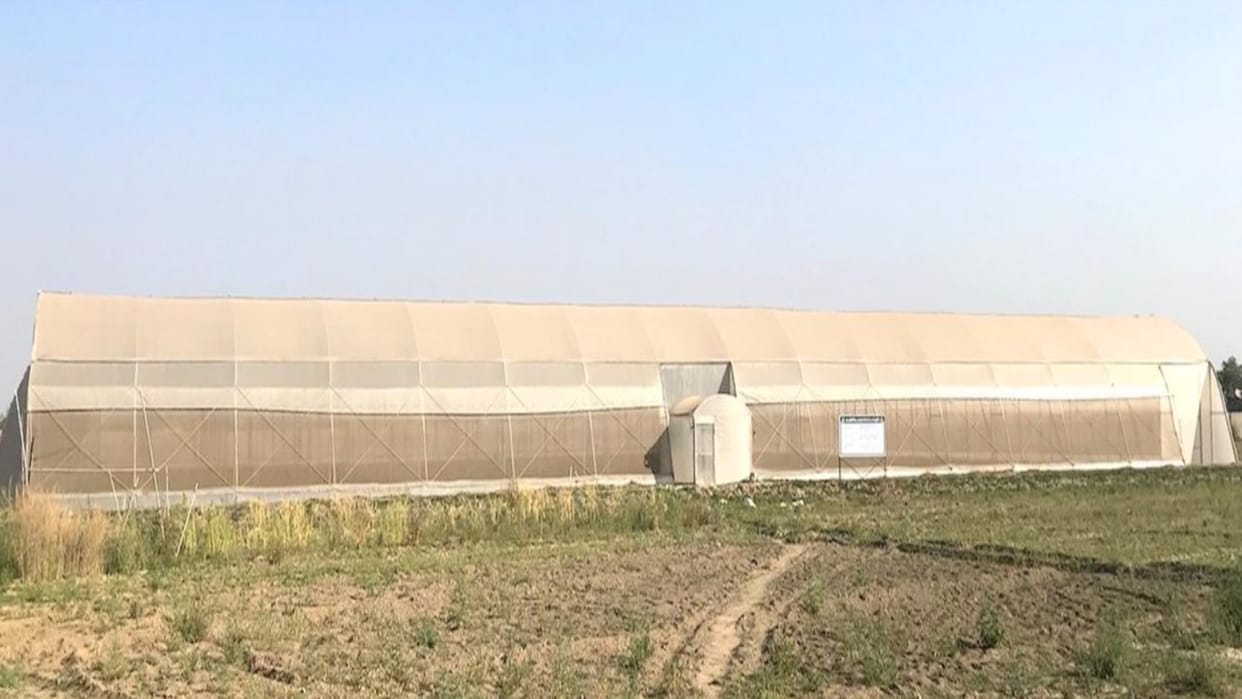 Uttarakhand Government will give 80 percent subsidy to farmers for setting up polyhouse