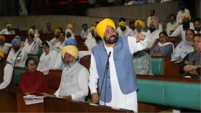 पंजाब विधानसभा में बोलते सीएम भगवंत मान।