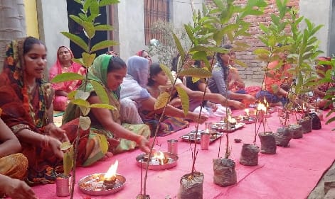 Plants distributed as Prasad after doing Taruputra Mahayagya