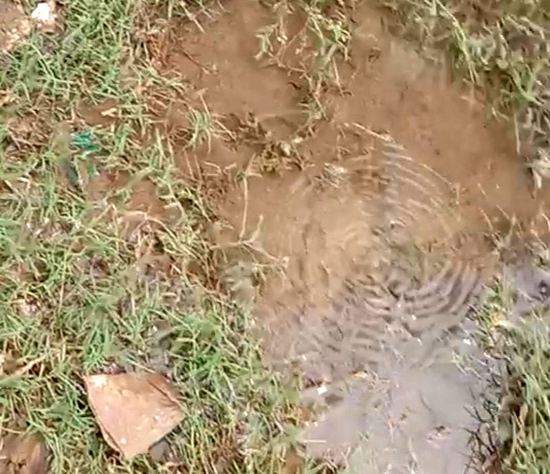 Leakage at many places in the pipeline laid four years ago