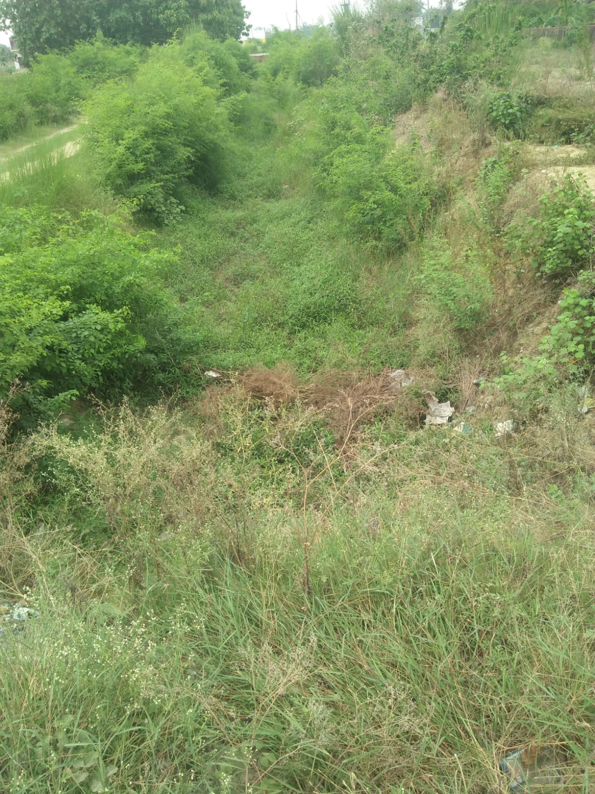 There is no water in many canals including Sharda Sahayak