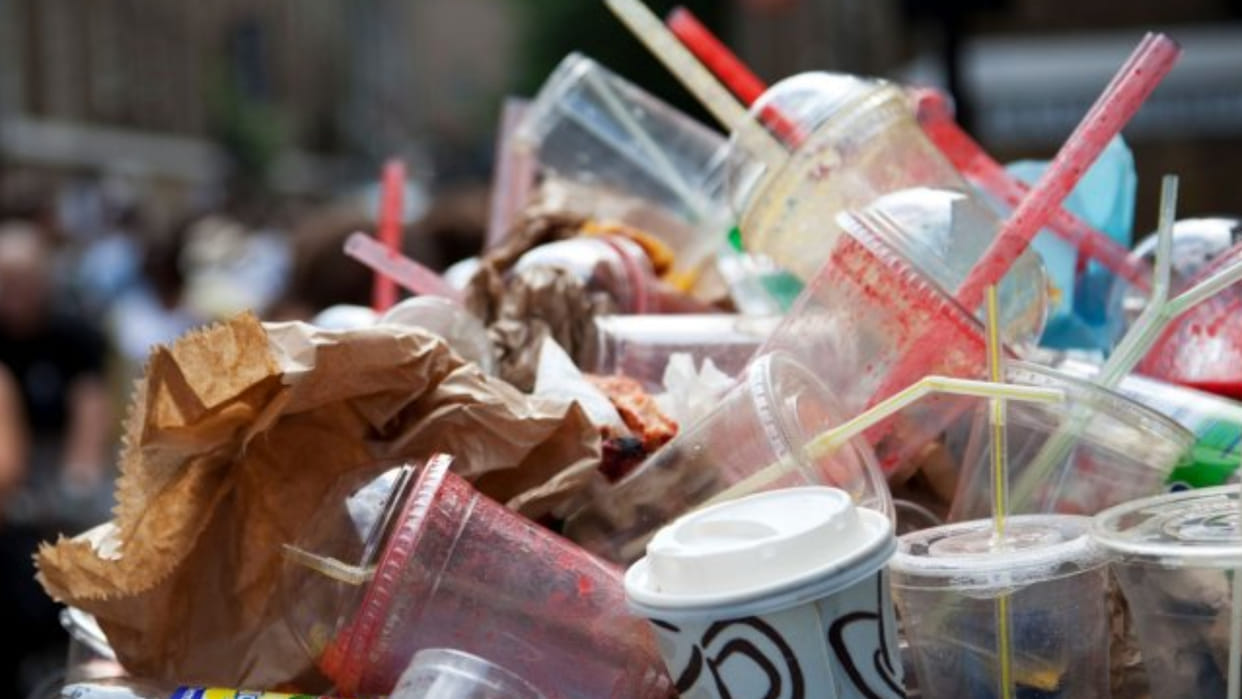 ban on single use plastic items from july 1st, Penalty will be imposed for not following the 11rules