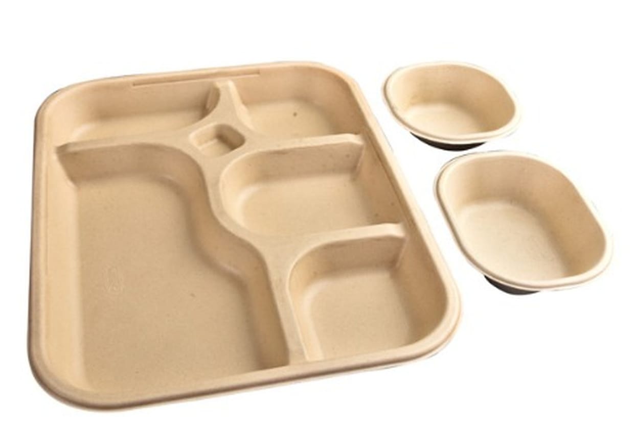 Utensils made from sugarcane bagasse will save the environment